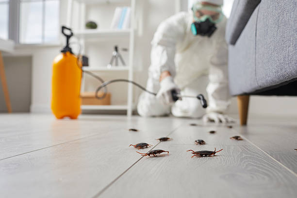 Commercial Kitchen Cockroach Control in Lakeside